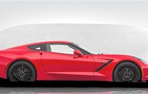 CAR CAPSULE 18' LONG 68" HIGH 76" WIDE (ND)