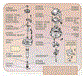 75-81 Distributor Module - Image 3