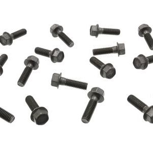65-68 INTAKE MANIFOLD BLACK BOLTS 396 / 427 FP HEADMARK - SET OF 16