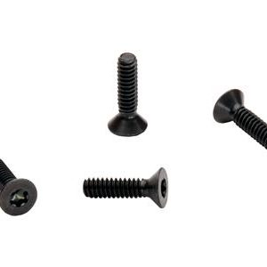 78-82 T-TOP REAR LOCATOR MOUNT SCREWS - SET OF 4